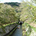 1339-3.jpg