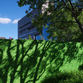 1341-3.jpg