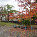 1375-1.jpg
