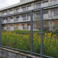 1375-2.jpg