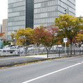 1375-3.jpg