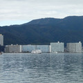 1376-2.jpg