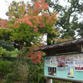 1378-3.jpg