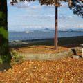 1380-3.jpg