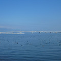 1382-1.jpg