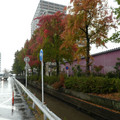 1383-2.jpg