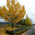 1383-3.jpg