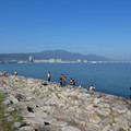 1385-1.jpg