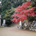 1387-1.jpg