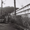 1388-1.jpg