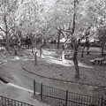 1389-2.jpg