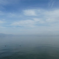 1390-1.jpg