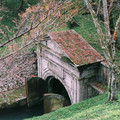 1390-2.jpg