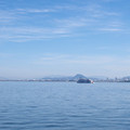 1392-1.jpg