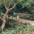 1392-2.jpg