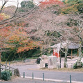 1392-3.jpg