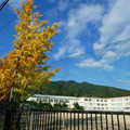 1394-1.jpg