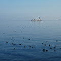 1401-1.jpg