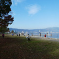 1401-3.jpg