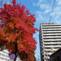 1402-1.jpg