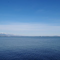 1436-3.jpg