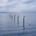 1438-2.jpg