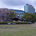 1438-3.jpg