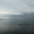 1440-2.jpg