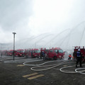 1441-3.jpg