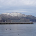 1445-1.jpg