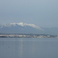 1447-1.jpg