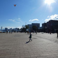 1449-2.jpg