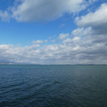 1456-1.jpg