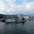 1459-1.jpg