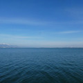 1465-1.jpg