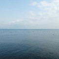 1506-1.jpg