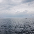 1511-2.jpg