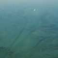1557-3.jpg