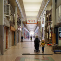1561-1.jpg
