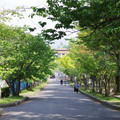 1561-2.jpg