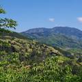 1562-1.jpg