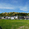 1563-3.jpg