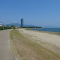 1568-3.jpg