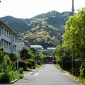 1571-2.jpg