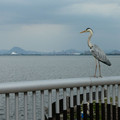 1586-2.jpg
