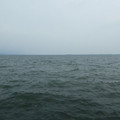 1621-1.jpg