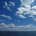 1642-1.jpg