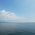 1647-1.jpg