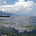 1681-3.jpg