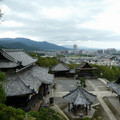 1700-1.jpg